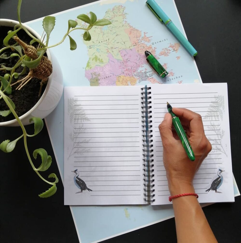 CUADERNO "AVES DEL RÍO MAULLÍN" - Imagen 2
