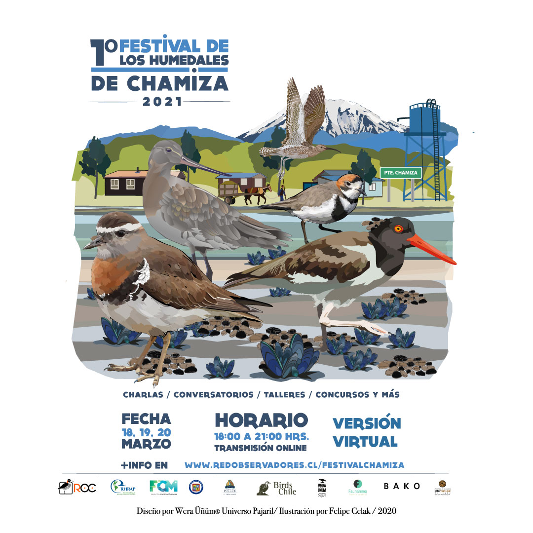 afiche festival de aves de chamiza