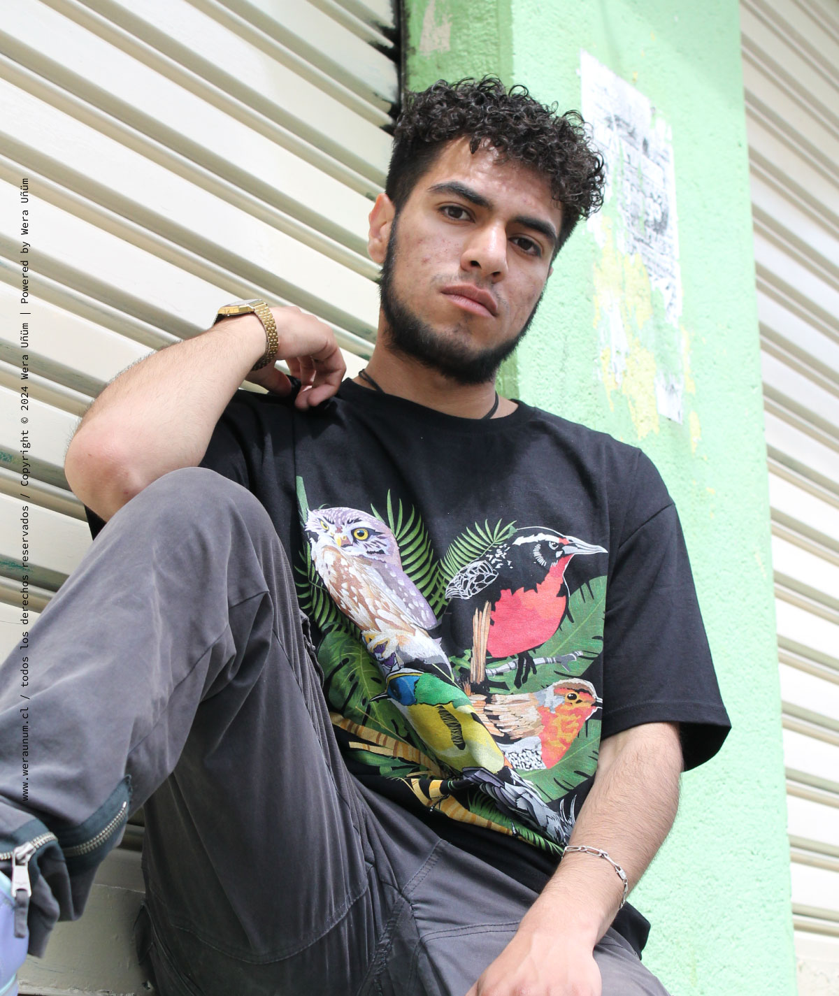 Polera Oversize Unisex "Aves de Chile" | Algodón 100% - Imagen 5