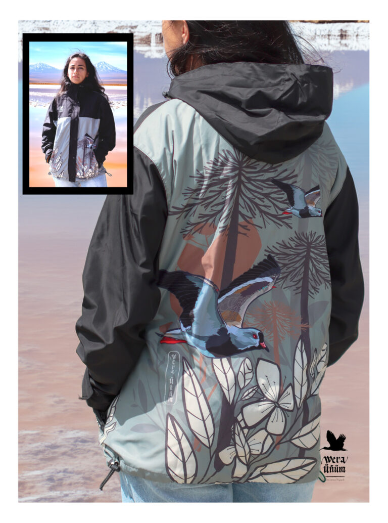 web-2025-campaña-12